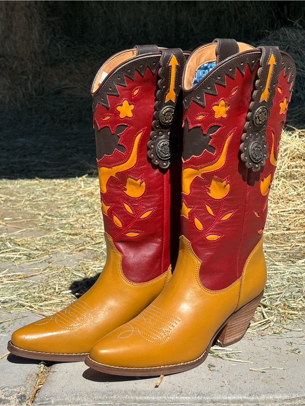Dingo - Dancing Boots - Picture 3 of 6